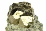 Pyrite Crystals in Matrix - Nærsnes, Norway #177277-4